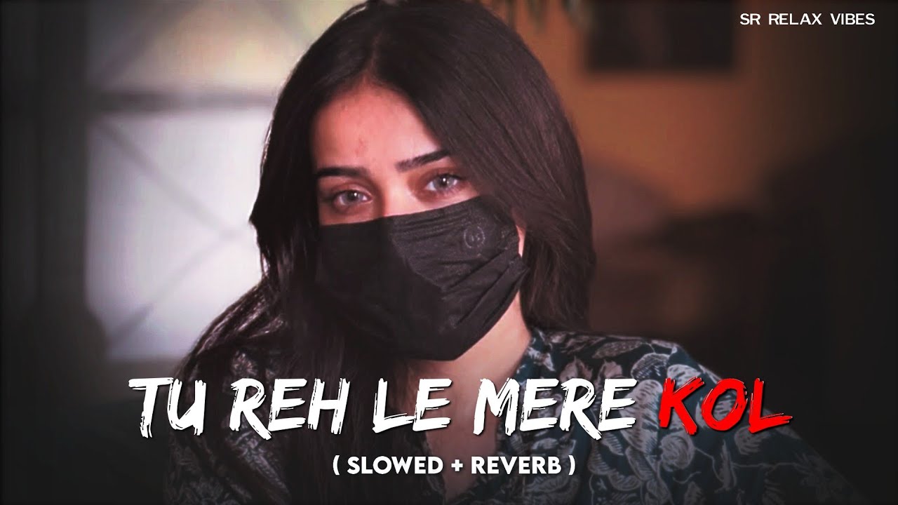 Sun Le Ve Mere Dil Janiya ( Slowed & Reverb ) - Lofi Song