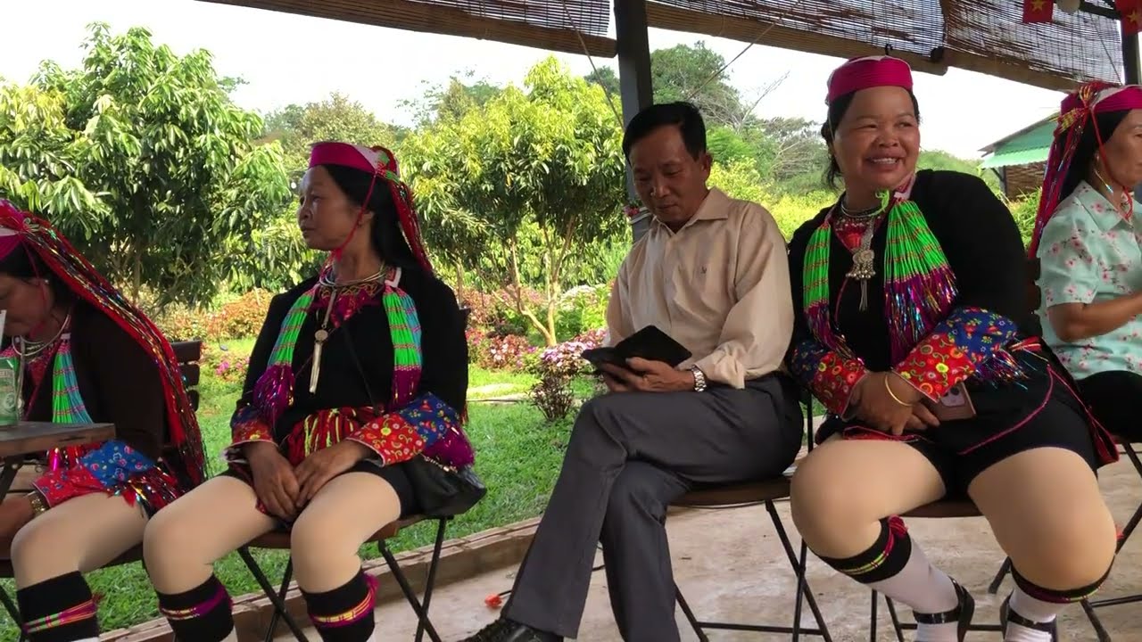 ng&agrave;y 13 th&aacute;ng 4, 2026 h&aacute;t tiếng dao thanh y ca sĩ h&agrave; li&ecirc;u h&aacute;t hay 
