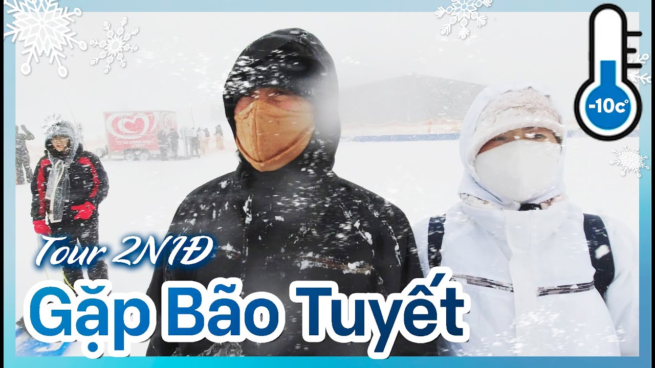 Đi Núi Tuyết Gặp Bão Tuyết Rơi Trắng Xoá | Tour Du Lịch Selwyn 2N1Đ (P1)