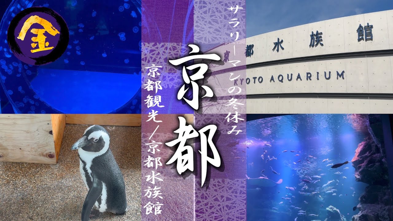 京都水族館-KYOTO AQUARIUM-🐠｜京都旅行最後の観光スポットとして。