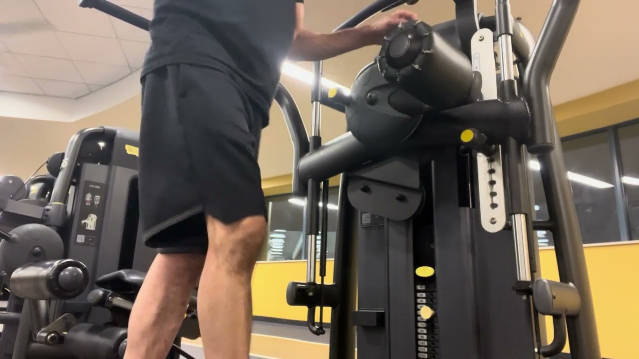 Multi Hip Machine (TechnoGym)