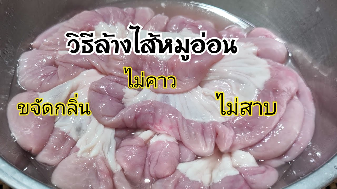 วิธีล้างไส้อ่อนหมู ล้างไส้อ่อนยังไงให้ไส้หายคาวกินสาบกินข้าวหายไป แล้วนำเอาไปประกอบอาหารได้อย่างอร่อ