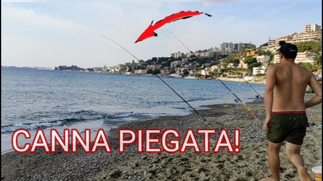 COM'È BELLO QUANDO PIEGANO LE CANNE DA PESCA, E SEI A ORATE!