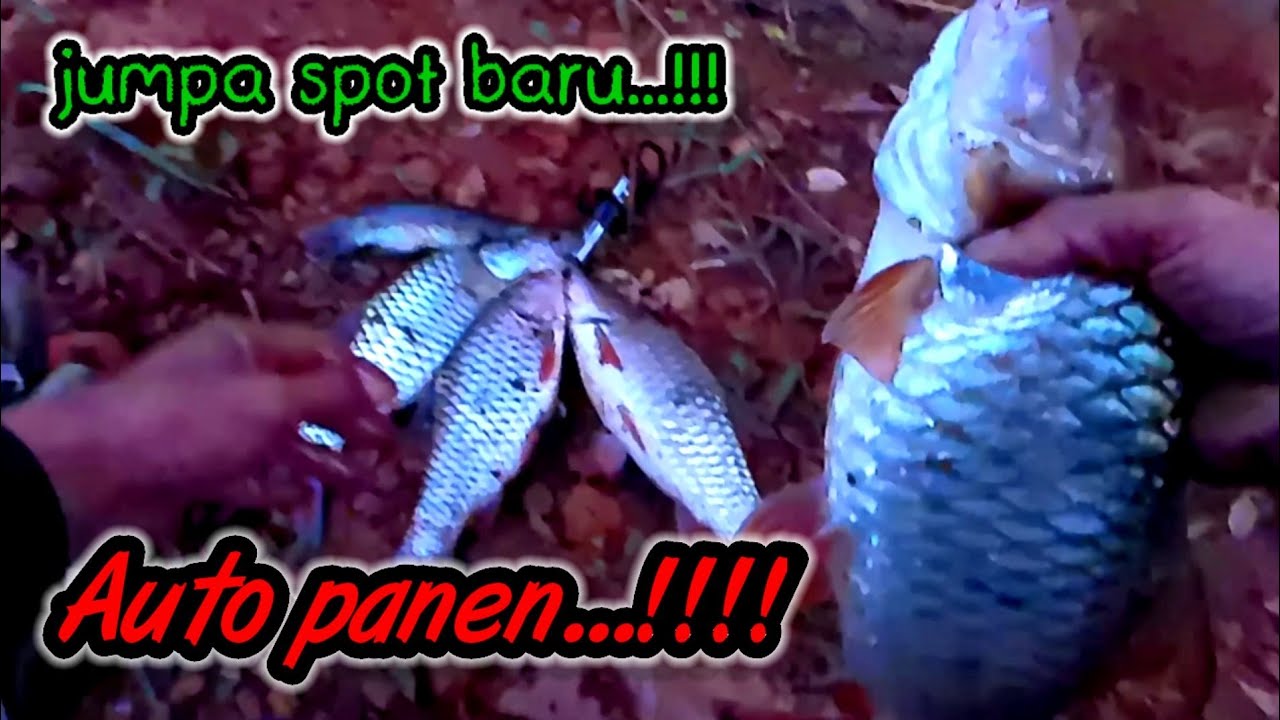 SPOT HAMPALA INI SUNGGUH SPOT YANG MENJADI IDAMAN PARA CASTINGER...!!!
