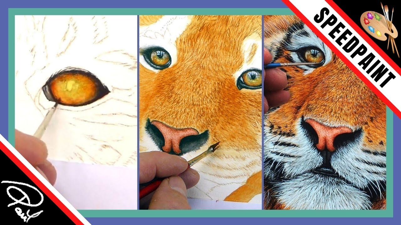 Watercolor Speedpaint - Realistic Tiger (In under 12 mins!)