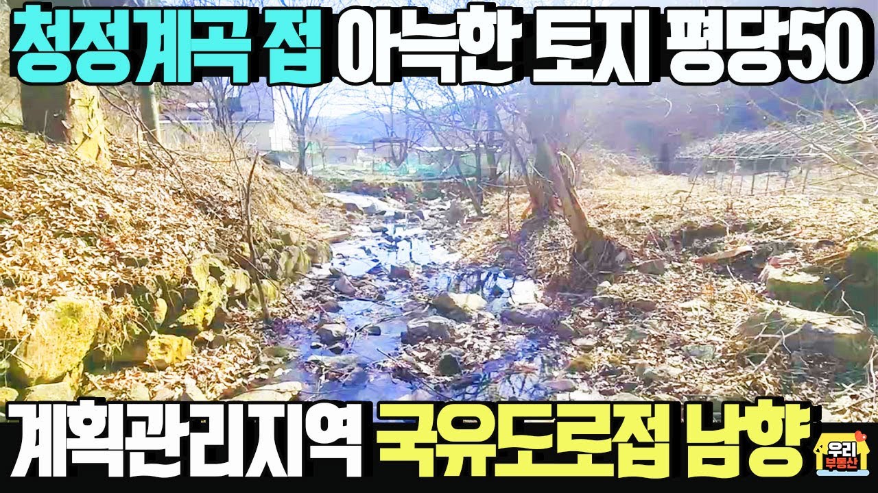 청정계곡에 접한 아늑한 토지 평당50만원 지목-답 300평 계획관리지역/ 햇살가득 남향 국유도로접한 알땅 /양평 우리부동산 매물번호1695 [양평 토지 급매물/양평토지 매매]