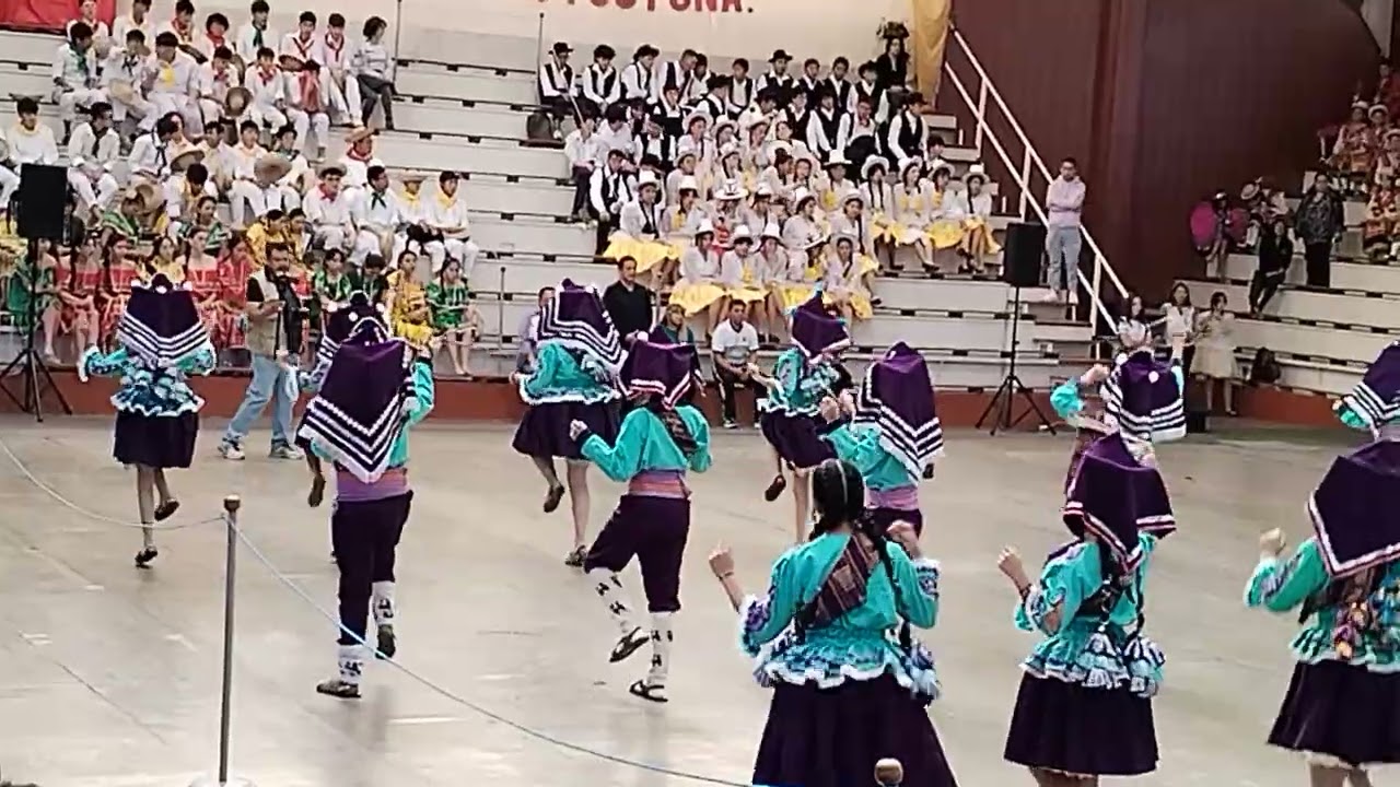 Llamerada Col. San Ignacio 2024