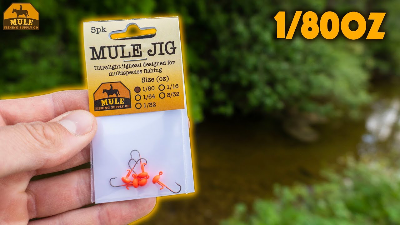 Everything You Need To Know About The 1/80oz Mule Jig!