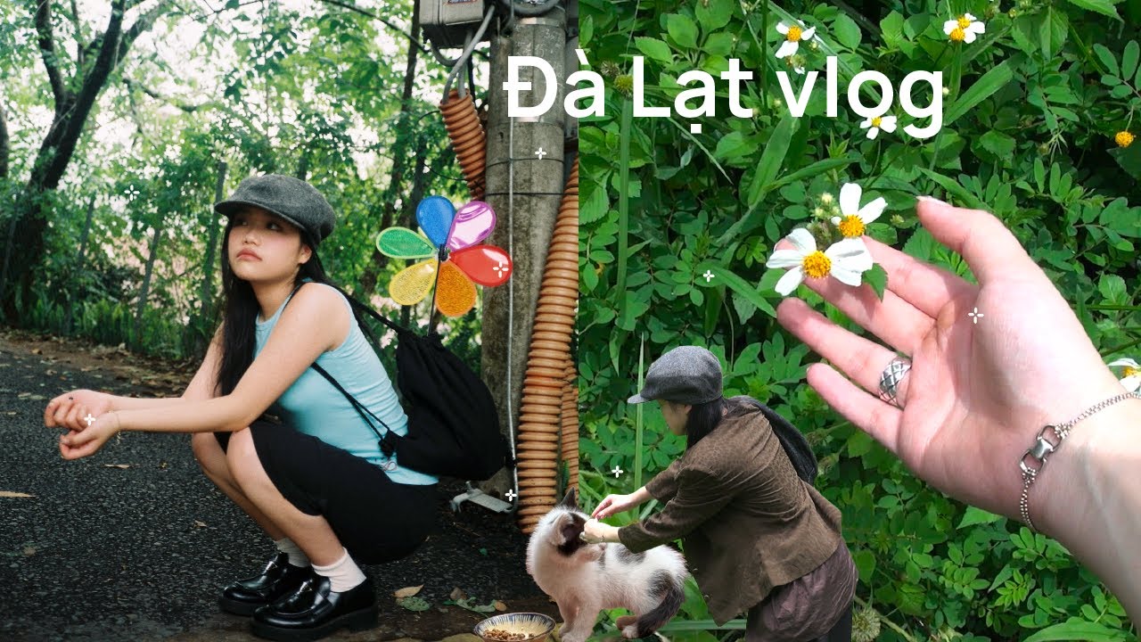 mỗi năm một vlog đà lạt ･ᴗ･