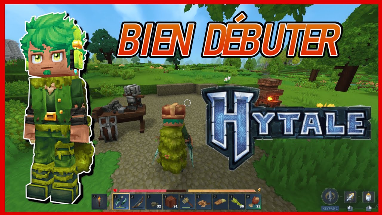COMMENT BIEN DEBUTER SUR HYTALE