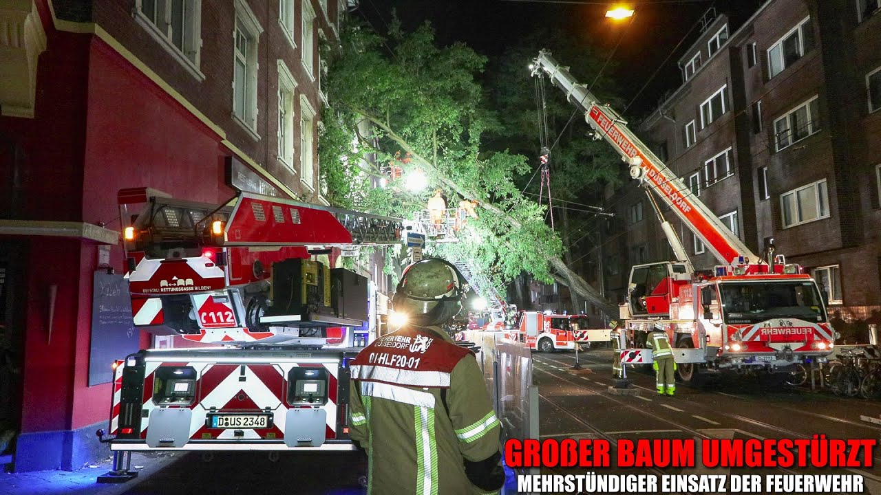 [BAUM STÜRZTE GEGEN HAUS & AUF OBERLEITUNG!] - Aufwendiger & mehrstündiger Einsatz der Feuerwehr -