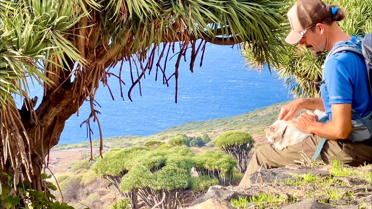 Schönes La Palma. Wanderung im Norden der Insel (Las Tricias). Abends dann wieder zurück zum Vulkan.