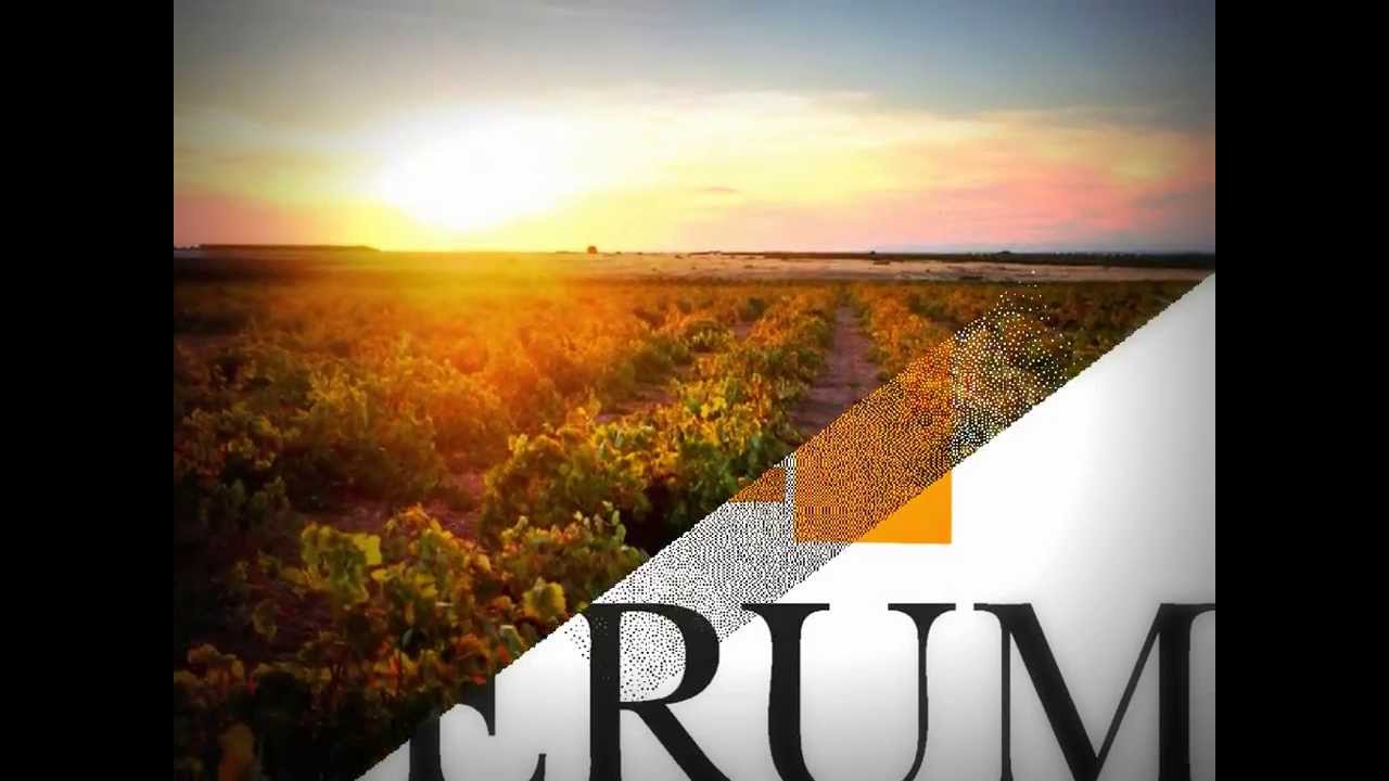 VERUM BODEGAS