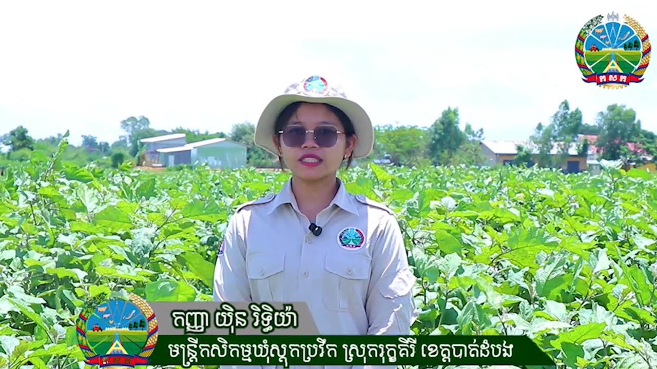 ទោះបិទព្រំដែនកម្ពុជា-ថៃ ការផ្គត់បន្លែត្រីសាច់ នៅបាត់ដំបង គ្រប់គ្រាន់ មិនខ្វះនោះទេ