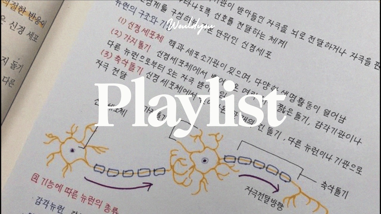 𝗣𝗹𝗮𝘆𝗹𝗶𝘀𝘁 이게 바로 공부라는 거지 | The Perfect 1 Hours Study Music