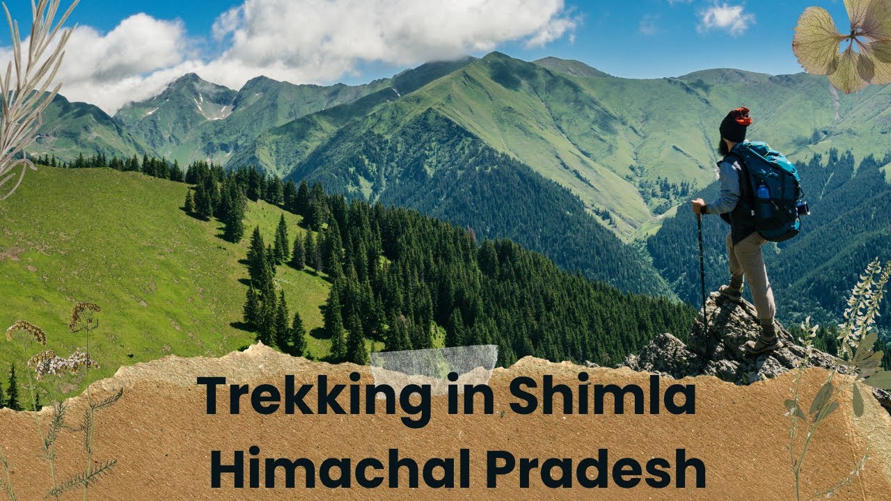 Trekking Bliss in Shimla, Himachal Pradesh | Guest Adventures