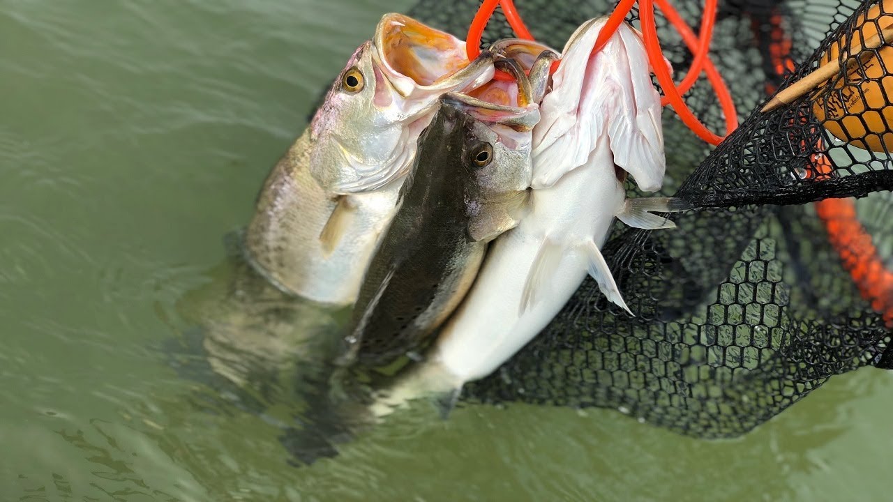 A Guide On How To Catch Specs and Redfish While Wade Fishing With Actual Video Proof!!!