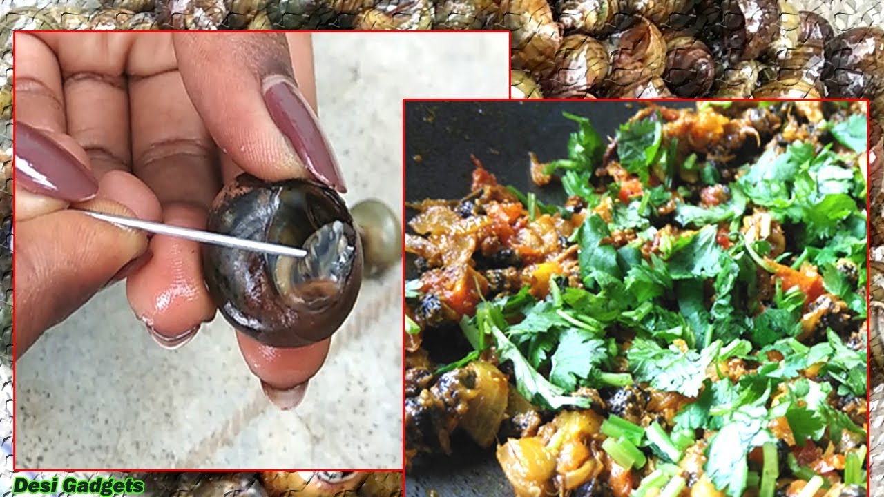 How to Cook dry and fry Snail/Ghungi recipe at home--Easy way--very tasty