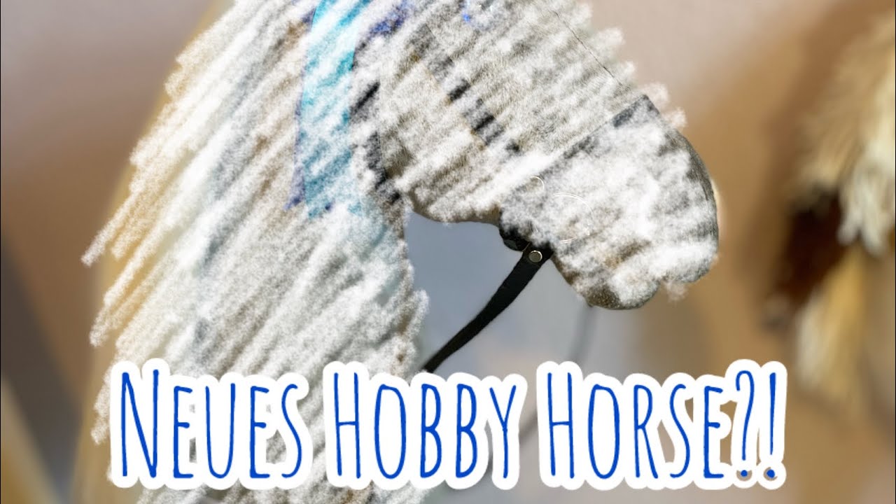Mein neues HOBBY HORSE | Unboxing💙| Hof Sonnenblümchen