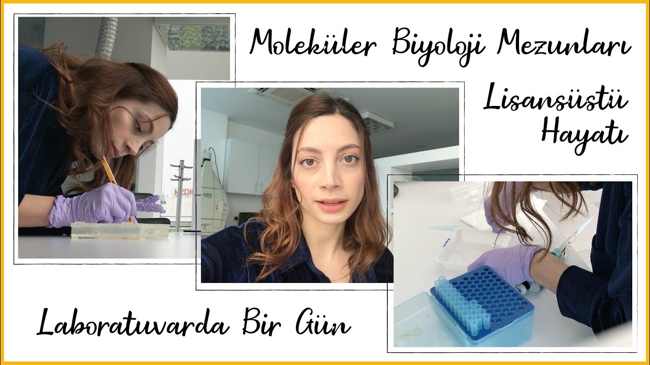 A day in molecular biology and genetics lab