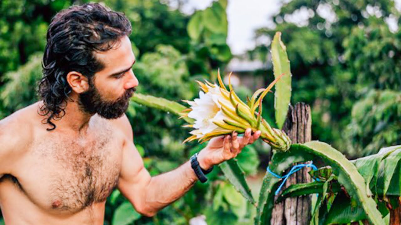 SYNTROPIC FARM (Post Wet Season Tour)