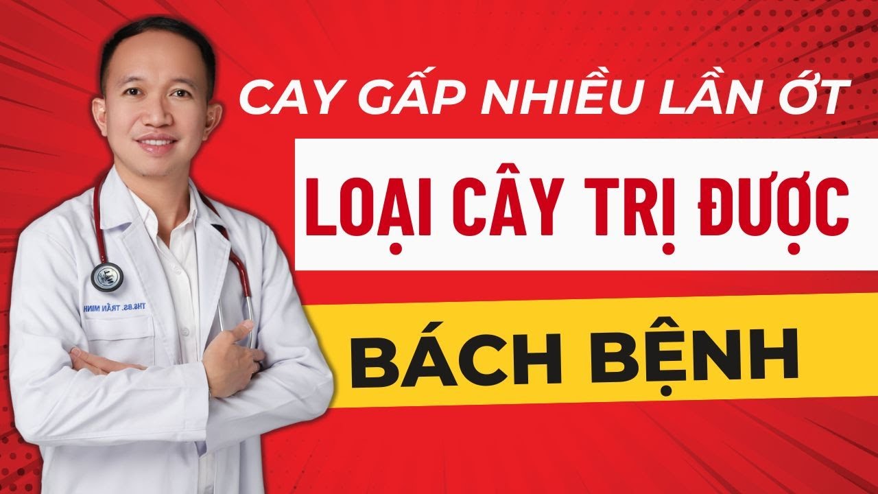 Cay Gấp Nhiều Lần Ớt Loại Cây Này Vì Sao Được Truyền Tai Chữa Đủ Thứ Bệnh| Dr Trần Nhựt Minh