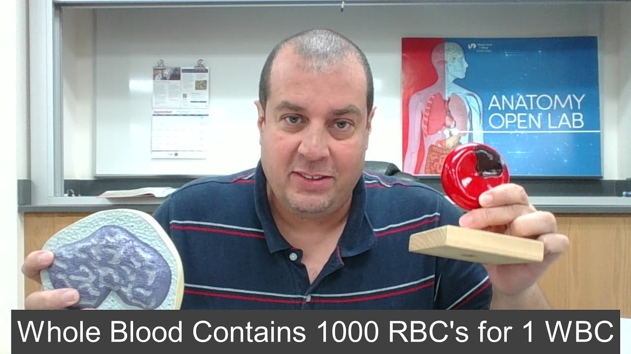 Formed Elements: WBC, RBC and Platelets