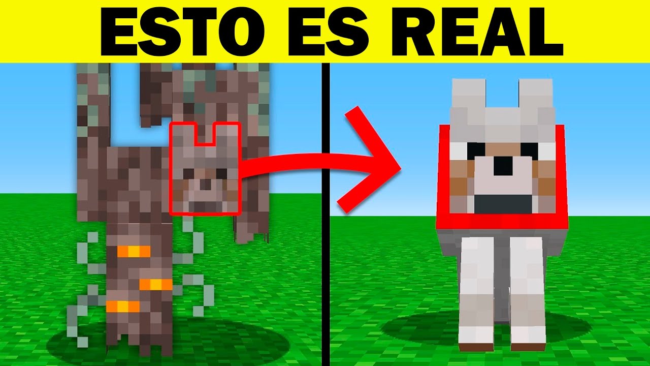 100 Cosas Que SEGURO NO SABÍAS de Minecraft #23