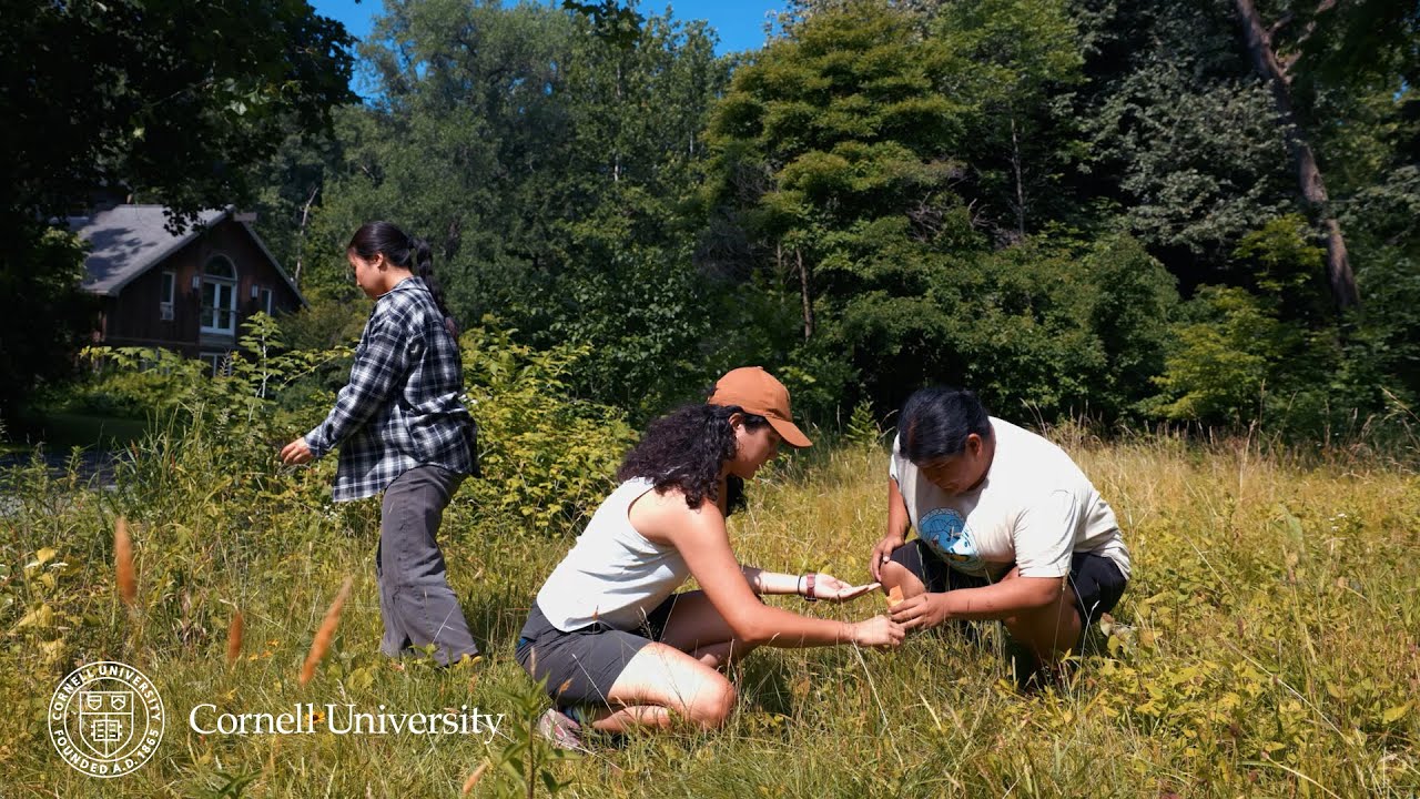 Meet a Climate Friendly Lawn