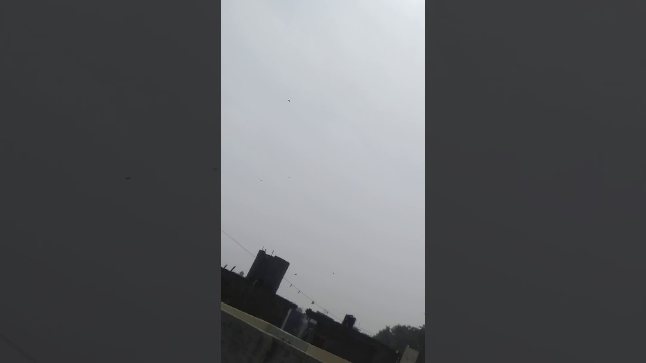 Basant 2021