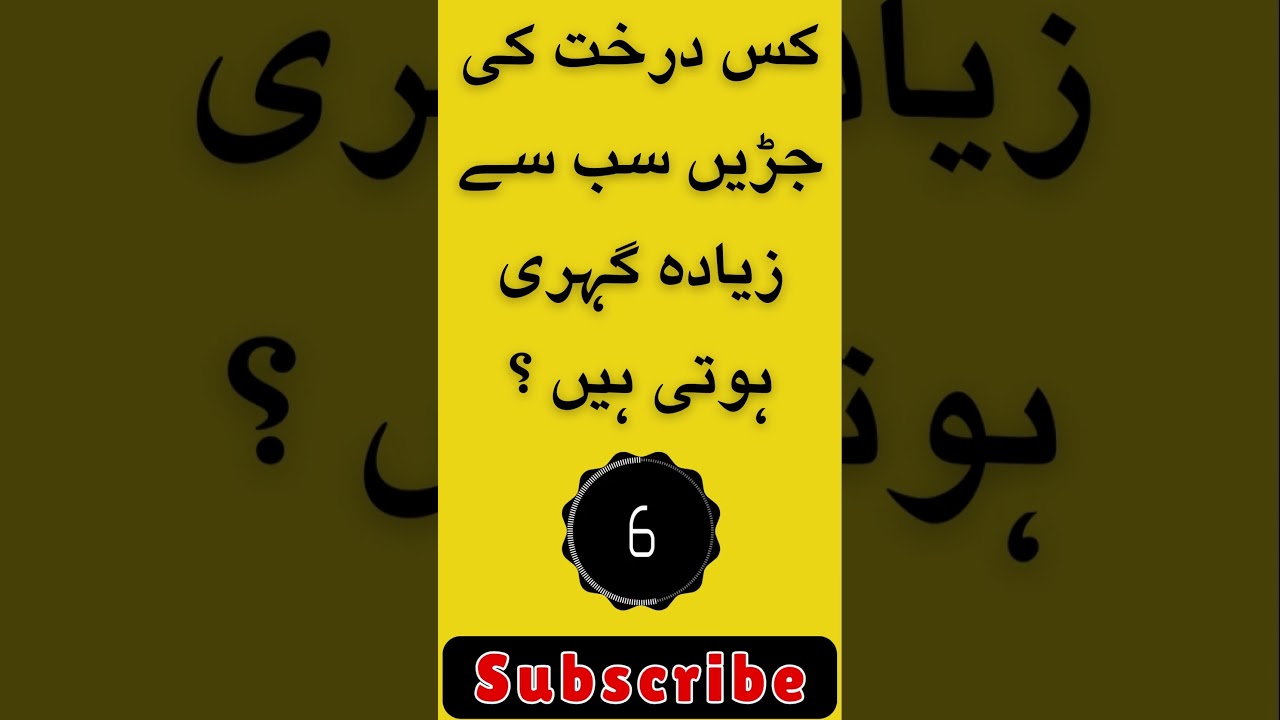 Urdu Info  #quiz #urduknowledge #challenge #generalknowledgequiz