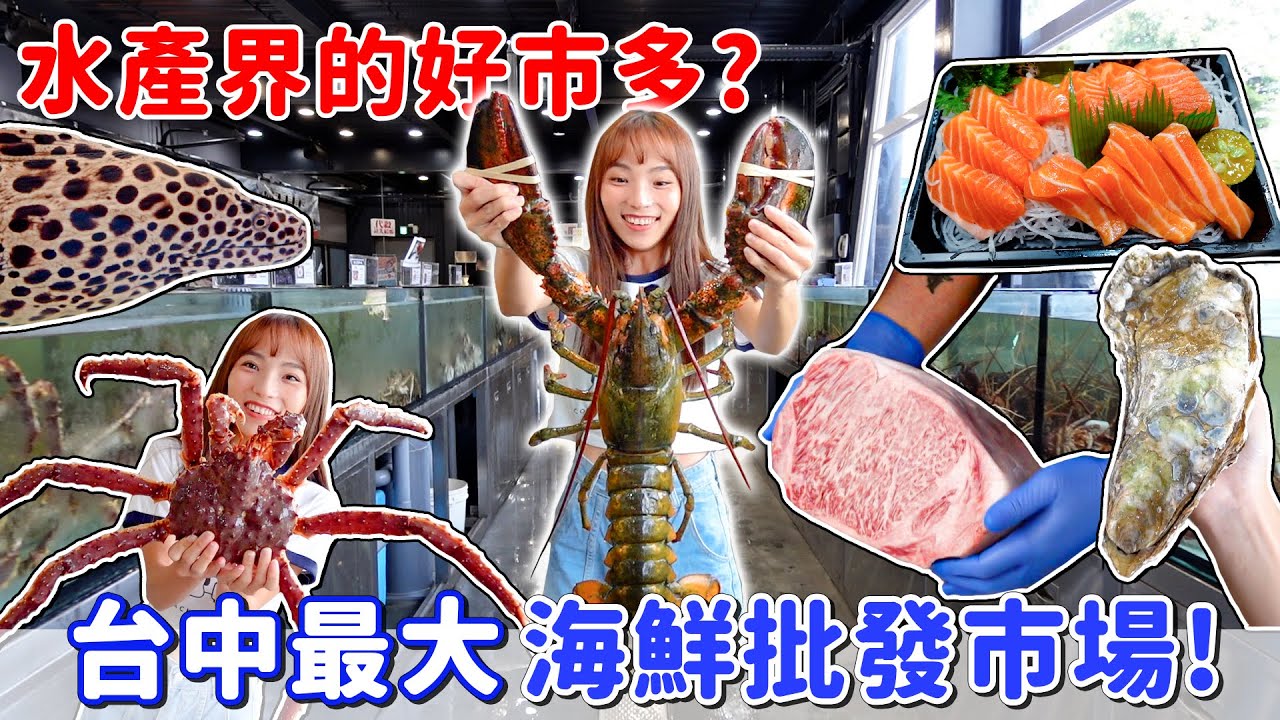 水產教父海鮮市場好買嗎？提供現場代殺、不新鮮全額退費！鱈場蟹、龍蝦、鱘龍魚，連A5和牛跟盲鰻都有！海鮮批發市場開箱~｜Haven在台中