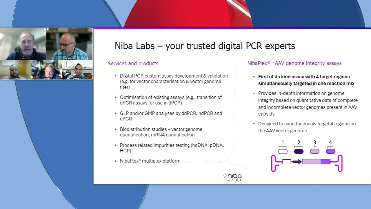 Viral vector integrity analysis &ndash; Advancements in gene therapy development