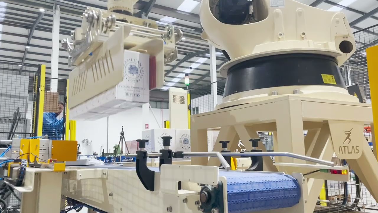 Multi-case palletiser - Atlas Robots