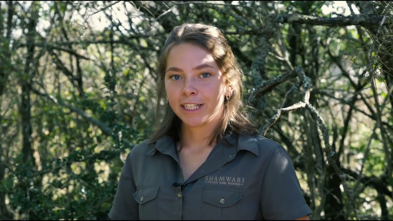 Shamwari - Wildlife Rehabilitation Centre