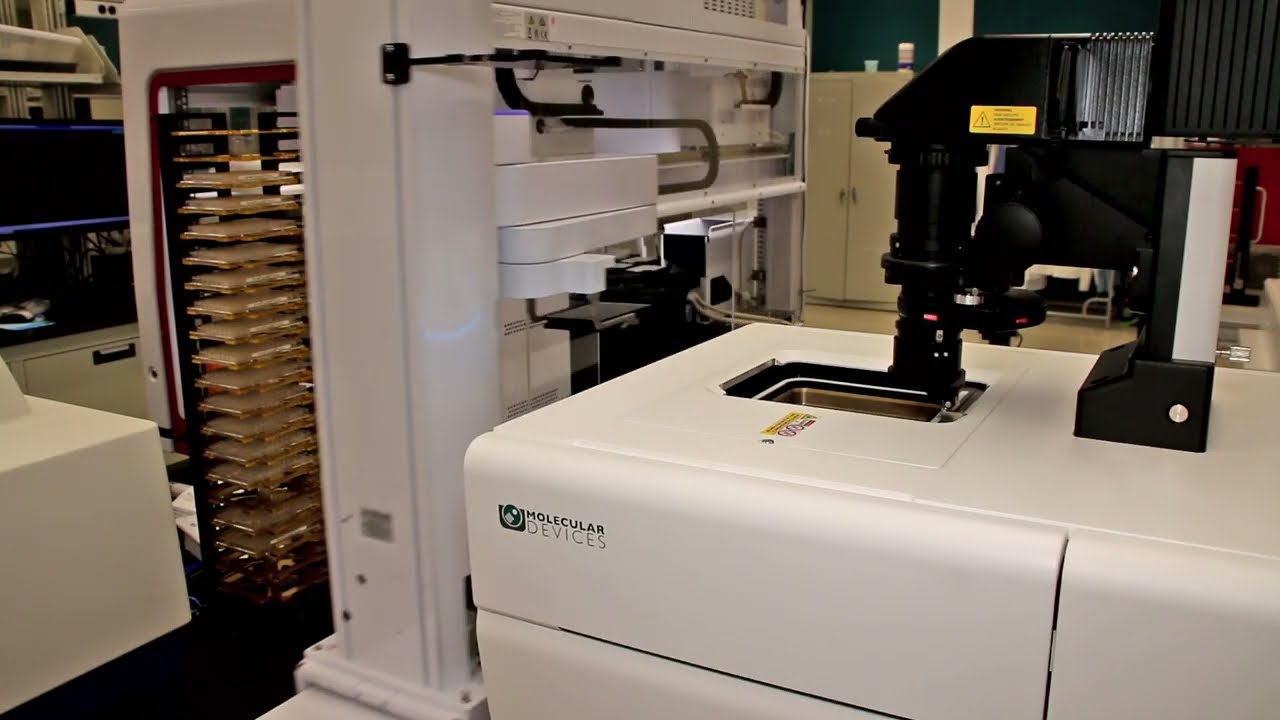 Introducing MIMETAS' Organ-on-a-Chip platform, the OrganoPlate, in an automated workflow.