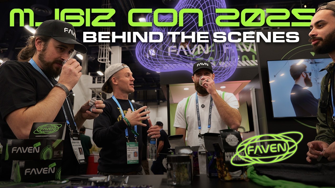 MJBizCon 2025 &mdash; Без цензуры и безумия! &mdash; За кулисами с командой осветителей Faven.