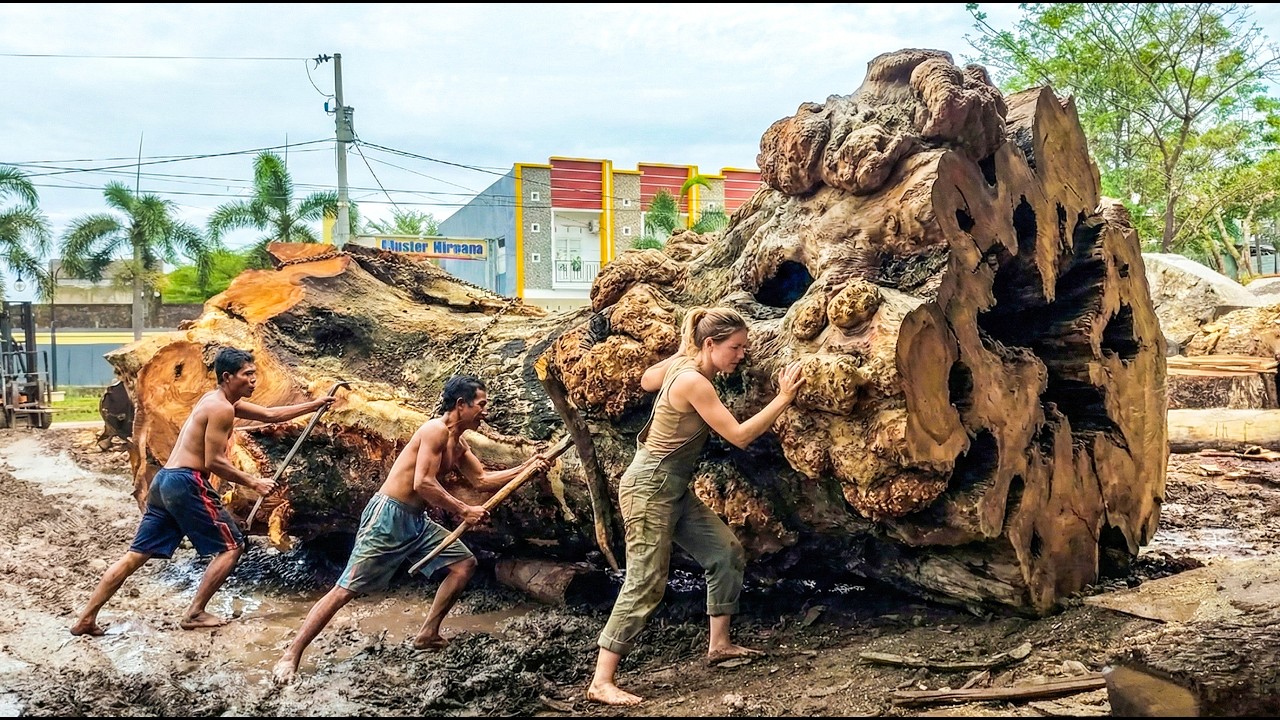 Cutting a Giant Tree Reveals Stunning Wood Grain