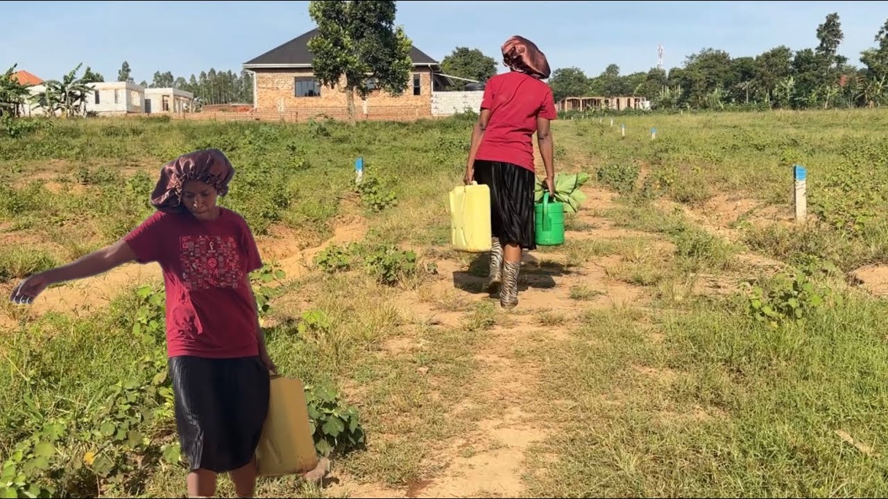 Very Beautiful Morning In My African Village // Africa Life Style