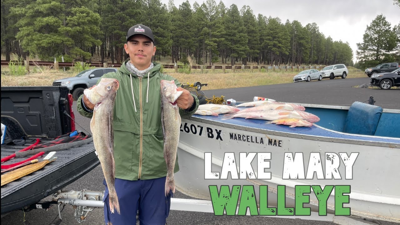Walleye Fishing Lake Mary/Pesca Pez Leucoma en Lago Mary (Arizona)