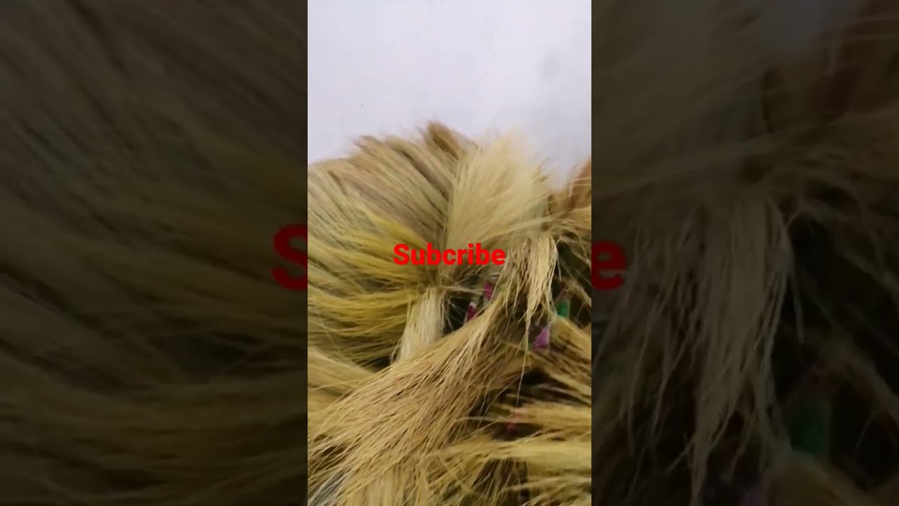 Pilipino broomstick  #shortvedio #westzonesupermarket #westzone #philipino #broomstick