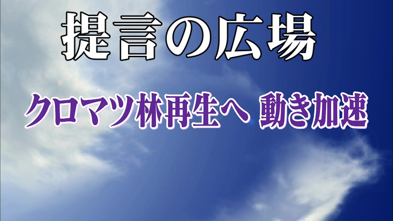 第2816回 クロマツ林再生へ動き加速「提言の広場」