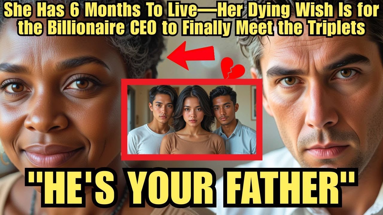 She Has 6 Months To Live—Her Dying Wish Is for the Billionaire CEO to Finally Meet the Triplets