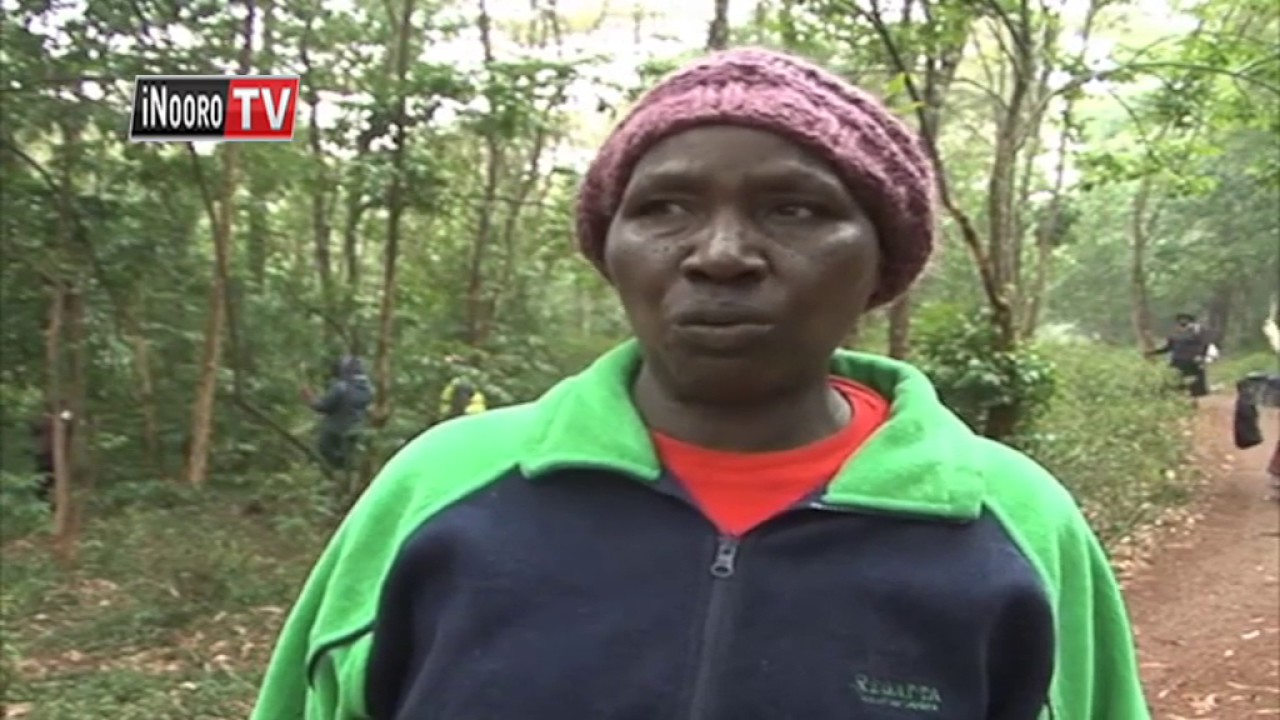 Aikari a Kikuyu gwetha kana nikuri miiri makiria mutitu-ini wa Muguga