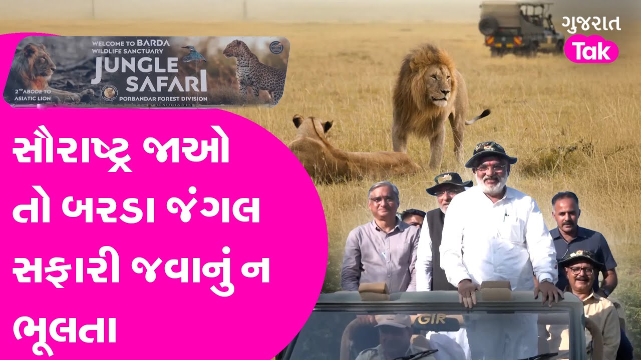 BARDA OPEN JUNGLE SAFARI સિંહોનું નવું ઘર બરડો | જંગલ સફારી | jungle Safari  #barda #bardo