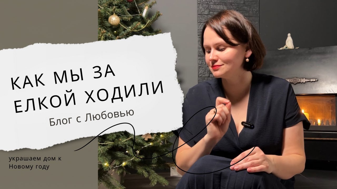Как мы ходили за елкой | Украшаем дом к Новому году | Обзор цен в магазине Tedi | Любовь Заплатина