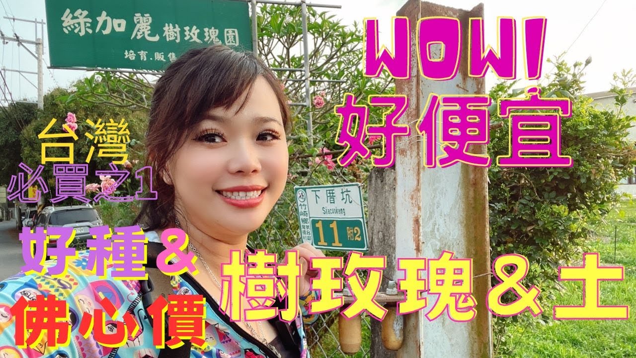 帶你們直擊 台灣便宜好種的樹玫瑰, 玫瑰, 調和土,介質土賣家之一