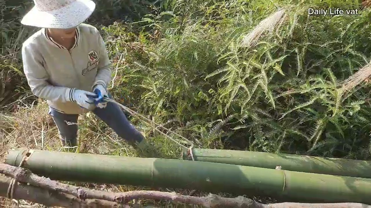 Cut bamboo to make chicken coop in 3 days #dailylife #dailylifenew