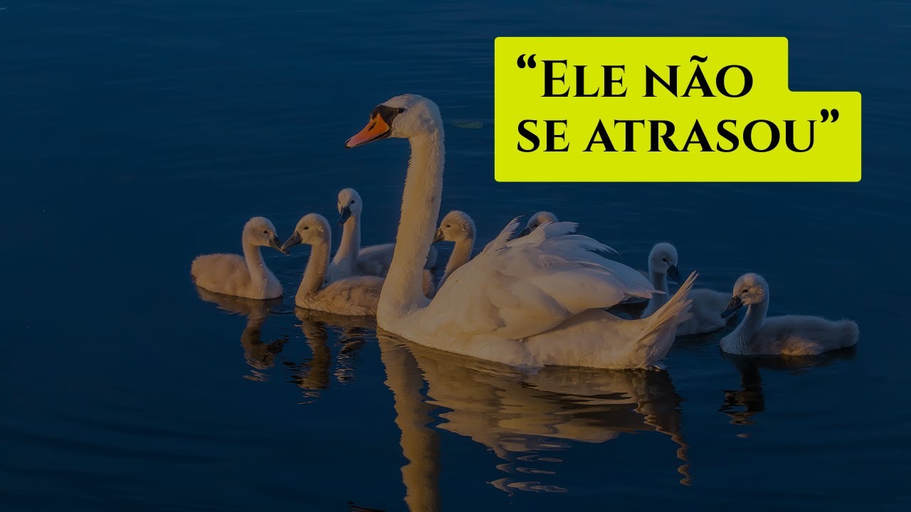 Deus age no tempo certo, não desista de esperar