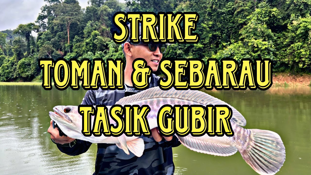 FIRST TIME STRIKE TOMAN TASIK GUBIR , KEDAH | VLOG07